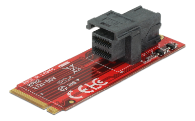 DeLOCK M.2 adapter, 1xM.2 hane M fattning, 1xSFF-8643, 2260, NVMe