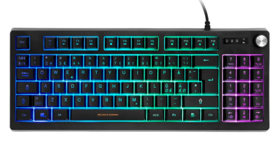 Deltaco Gaming DK230 TKL RGB - Svart#1