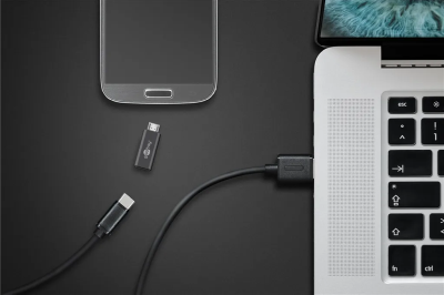 Goobay Micro-USB till USB-C OTG adapter - Grå#2