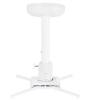 Multibrackets M Universal Projector Ceiling Mount 300-480 with Finetune, max 15kg